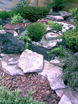 Садовый дизайн