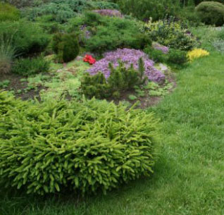 Классификация садовых ландшафтов