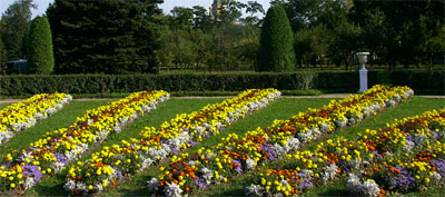 Английский сад