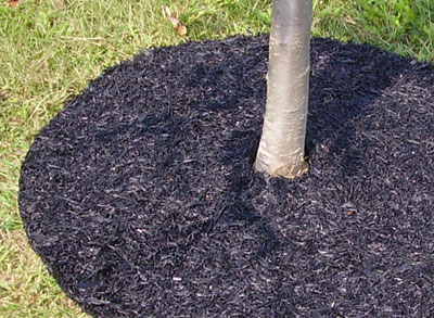 Мульчирование